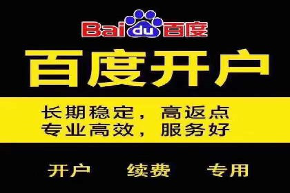百度竞价广告运营全解析：成功案例揭秘
